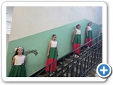 stem1