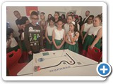 stem11