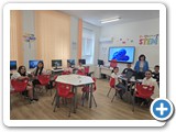 stem13