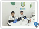 stem27
