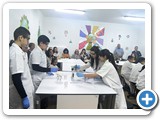 stem32